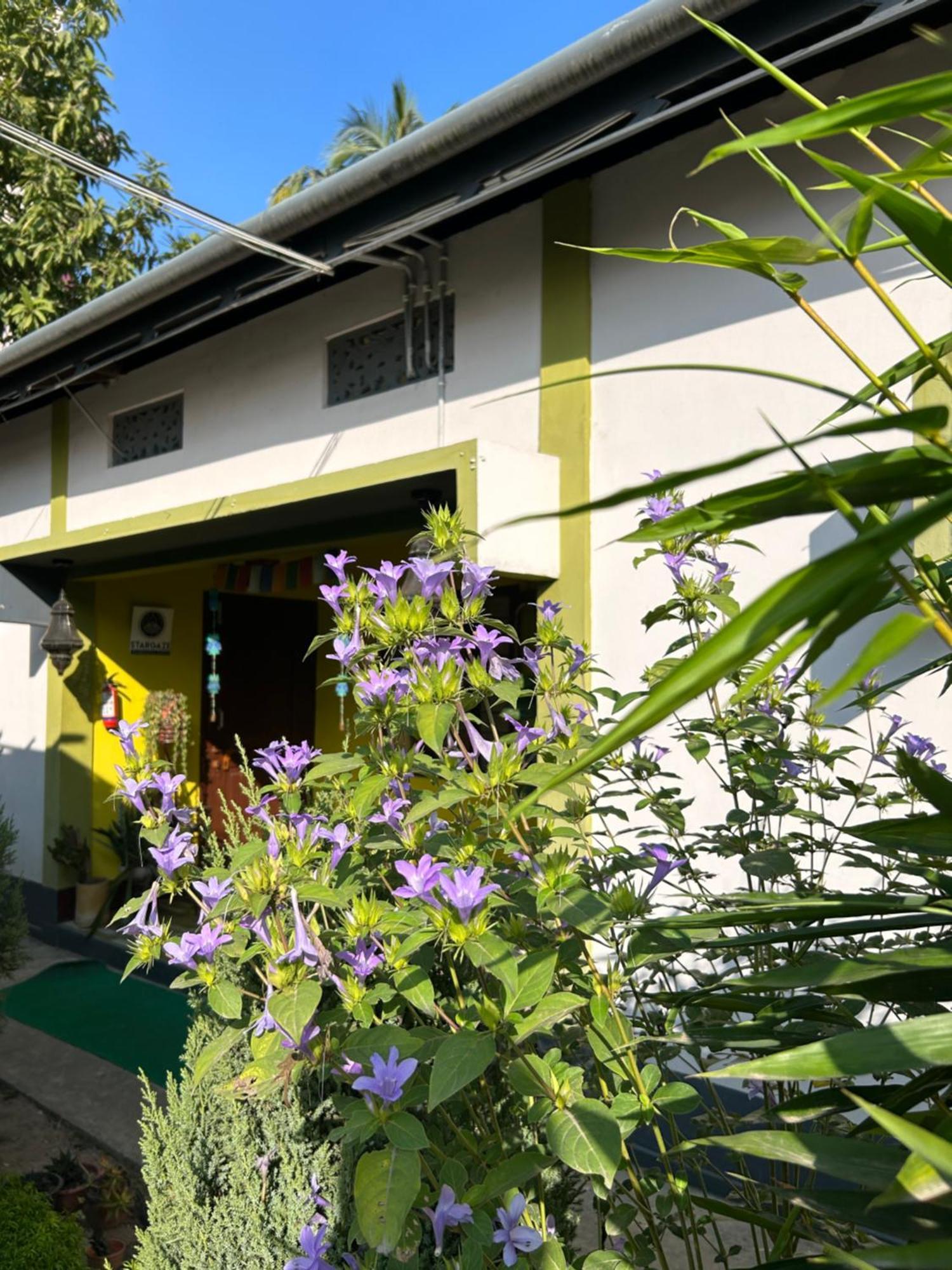 Stargaze Backpackers Hostel Гувахати Екстериор снимка